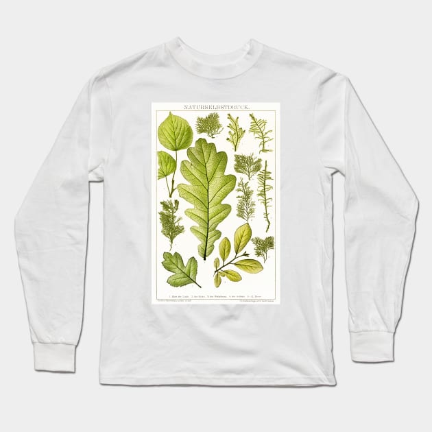 Assorted leaves and mosses - Botanical Illustration Long Sleeve T-Shirt by chimakingthings